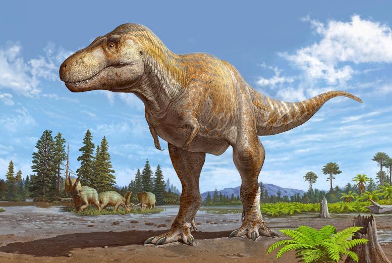 Reconstrucción del Tyrannosaurus mcraeensis