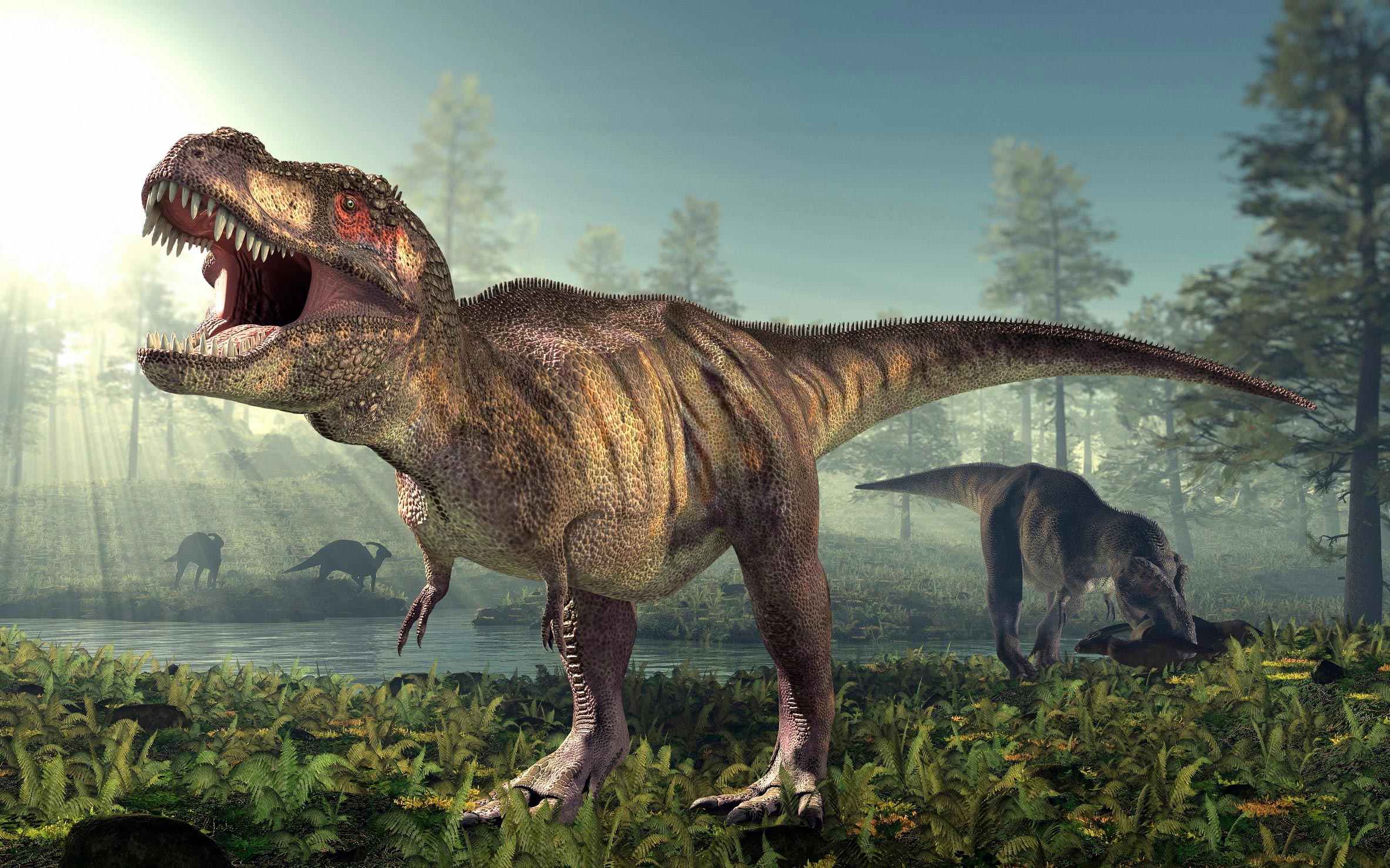 Growing Up Tyrannosaurus Rex: Researchers Learn More About Teen-Age T.Rex