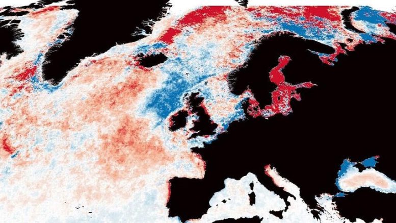 UK and North Atlantic Ocean Photic Zone Shifts