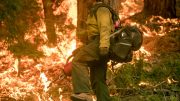 US Forest Service Prescribed Burn