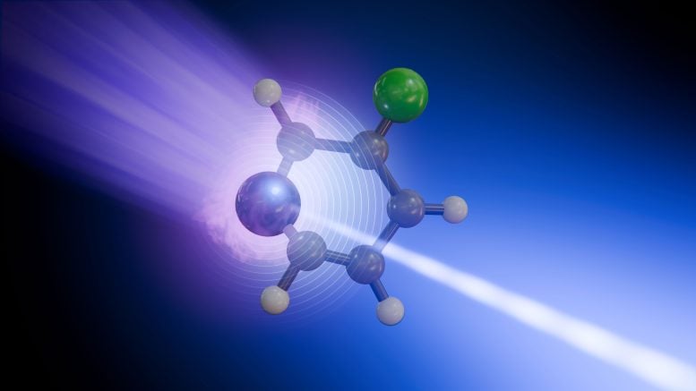 UV and X Ray Probing of 3 Fluoropyridine