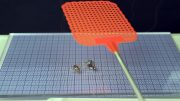 Ultra-Light Robotic Insect