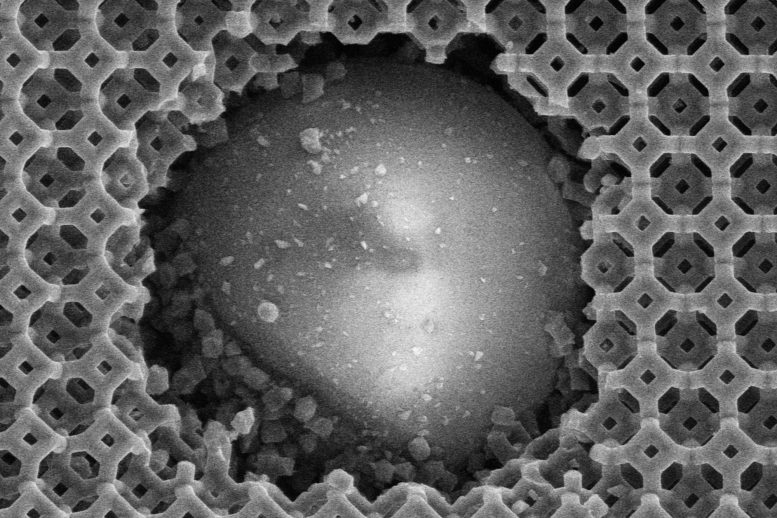 Ultralight Material Made From Nanometer Scale Carbon Struts