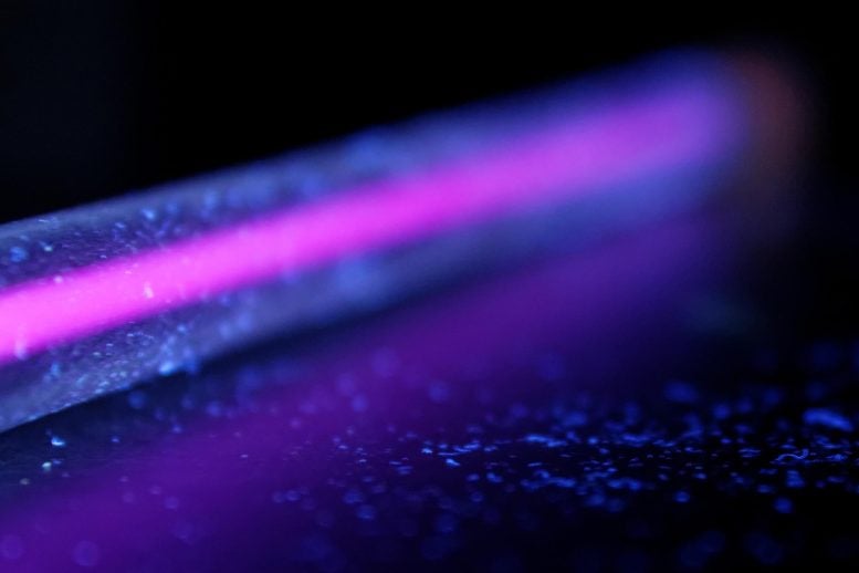 Ultraviolet Light UV Lamp