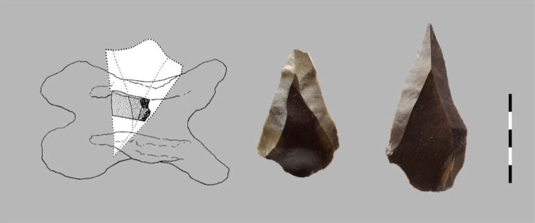 Um El Tlel Neanderthal Levallois Points