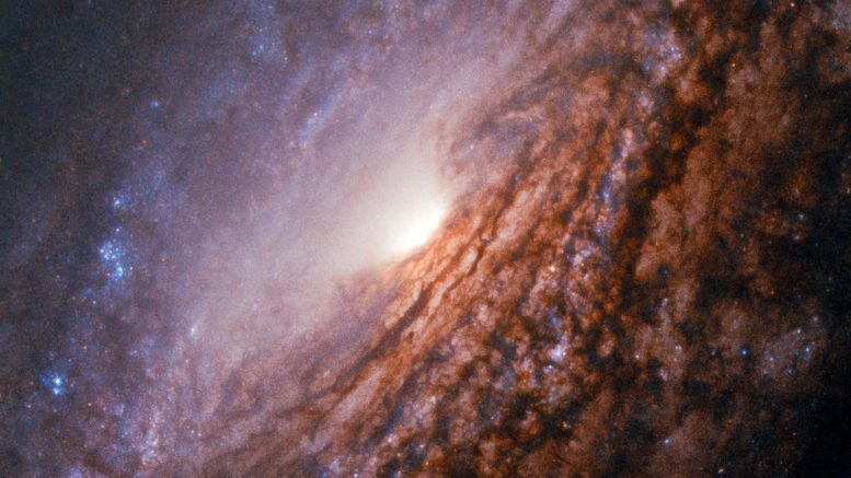 Breathtaking Hubble Image Of Spiral Galaxy Ngc 7331 1009