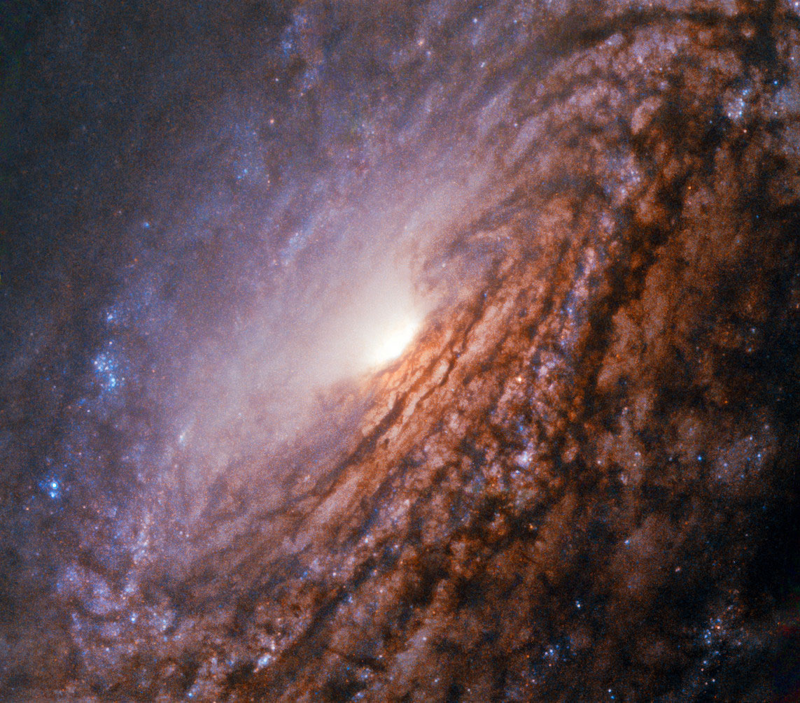 Hubble Image Of The Week Unbarred Spiral Galaxy Ngc 5033