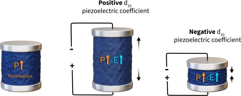 Unconventional Piezoelectricity in Ferroelectric Hafnia
