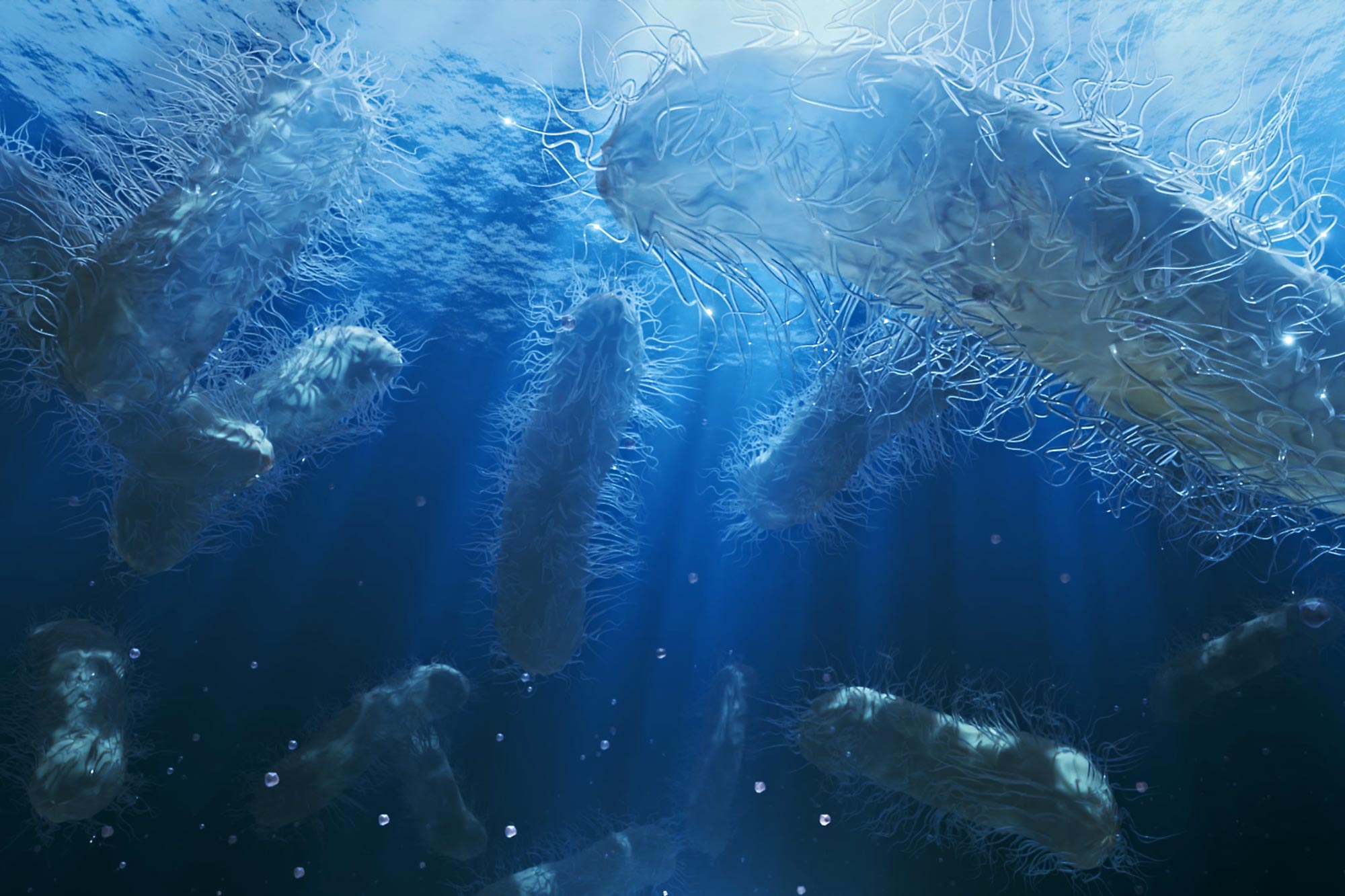 Deep-Ocean Carbon Fixers Overturn Long-Held Climate Assumptions