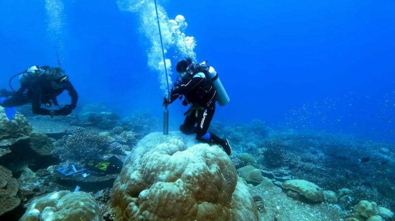 Underwater Coral Drilling