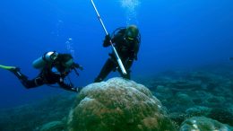 Underwater Coral Drilling Core