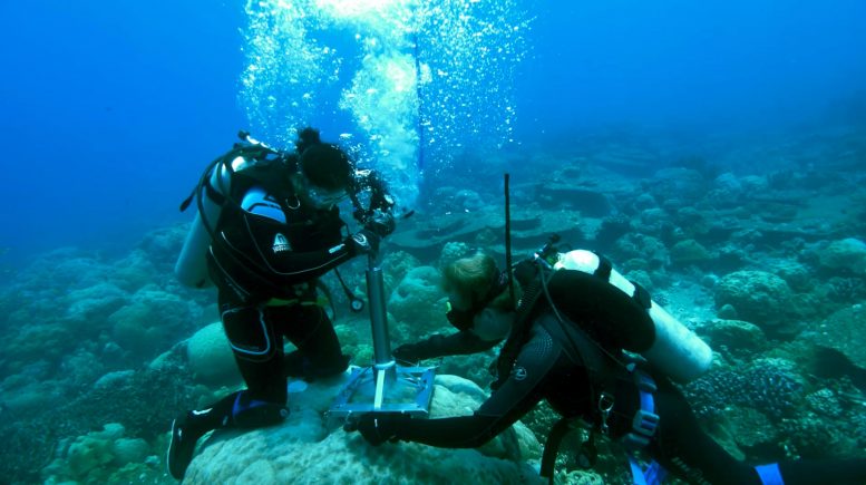 Underwater Coral Drilling Start