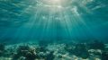 Underwater Ocean Sunlight Art