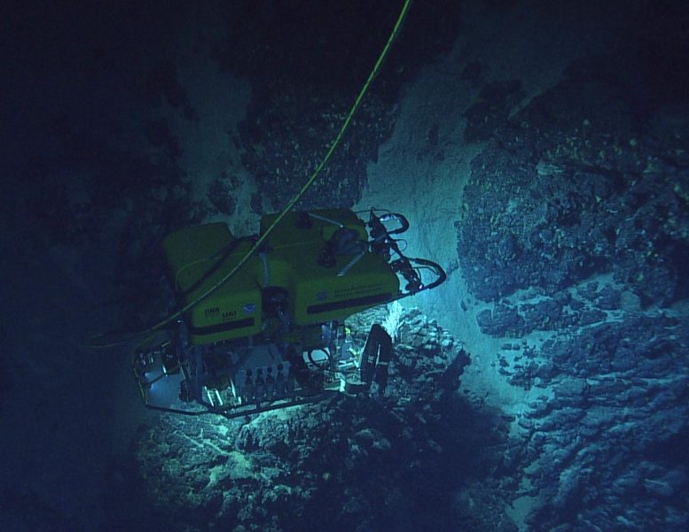 Underwater ROV Uri Brink