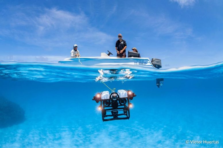 ROV sous-marin à Diamond Reef dans le parc marin de la mer de Corail