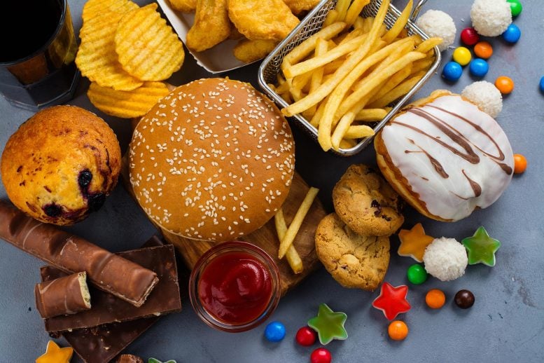 Unhealthy Junk Food Chips Candy Donuts Fries