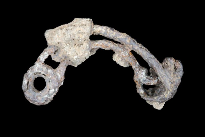 Unique Metal Artefacts Shed Light on Prehistoric Feasting
