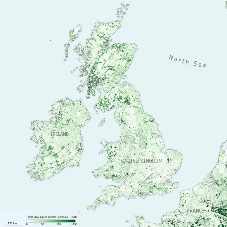 United Kingdom and Ireland Above Ground Biomass