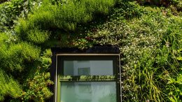 University of Plymouth Living Wall