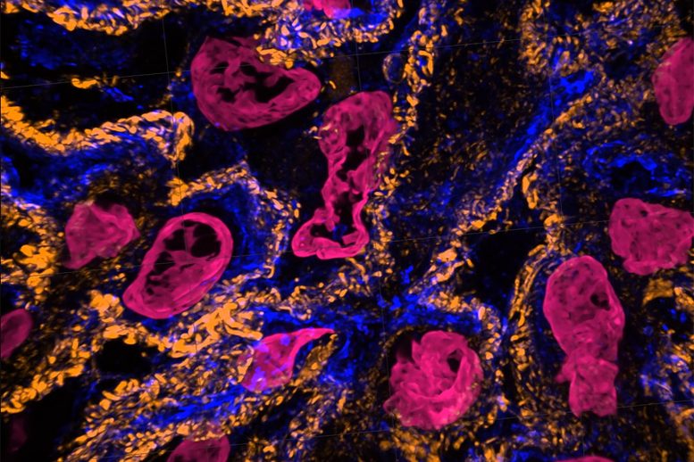 Unprecedented Views of Cell Interiors