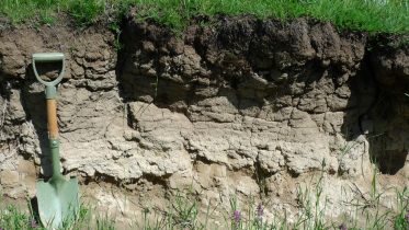 Scientists Discover Gigantic Global Reserve of Soil Carbon Underground