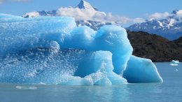 Glaciers and Sea Level Rise