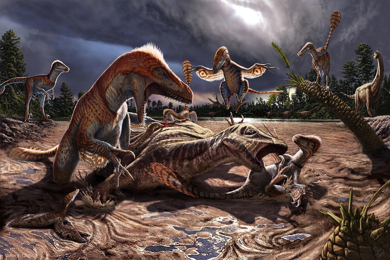 El dinosaurio rapaz más grande del mundo vivió 10 millones de años antes de lo que se pensaba