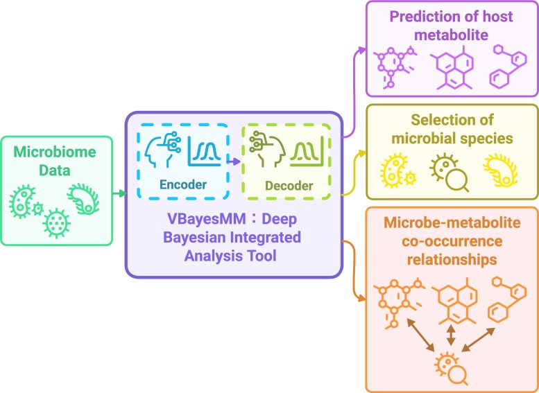 VBayesMM System Overview for Microbiome and Metabolite Analysis