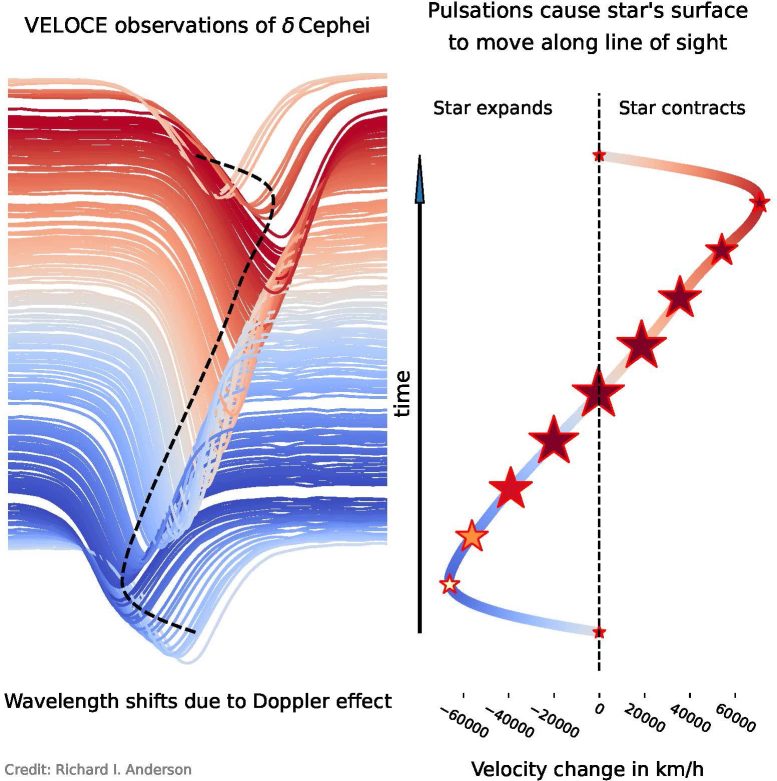 תצפיות VELOCE עוקבות אחר ההתרחבות וההתכווצות של כוכבי קפאיד בדיוק חסר תקדים