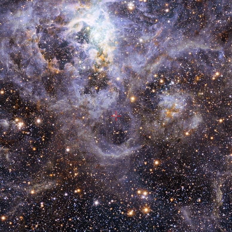 VFTS 352 in the Large Magellanic Cloud