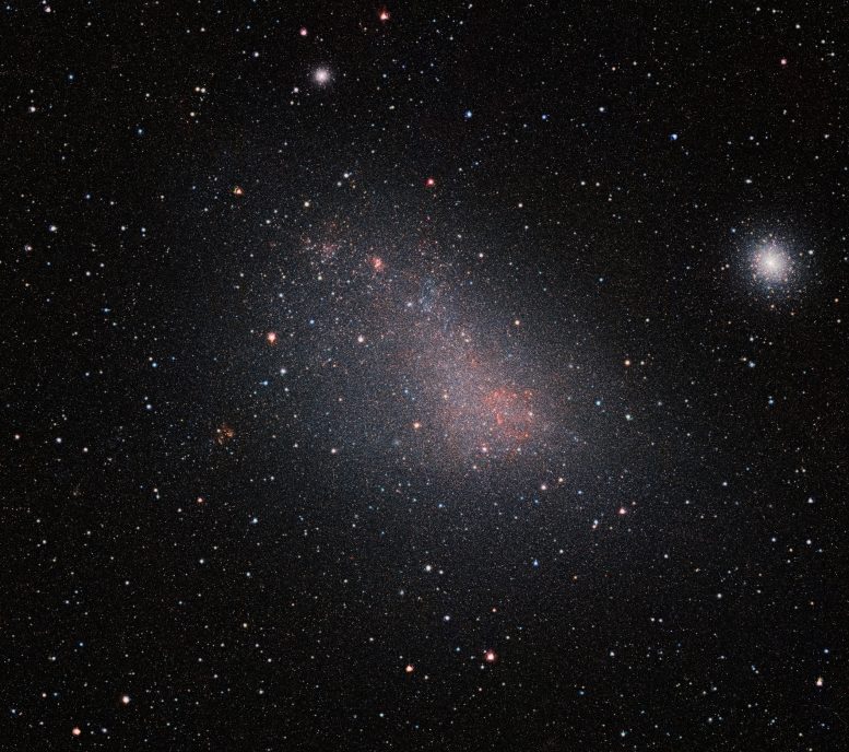 VISTA Sees Through the Small Magellanic Cloud’s Dusty Veil