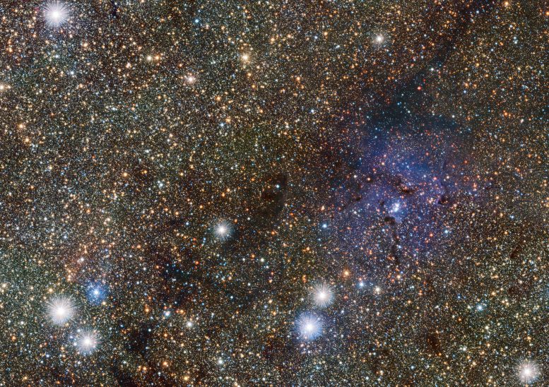 VISTA Views the Trifid Nebula