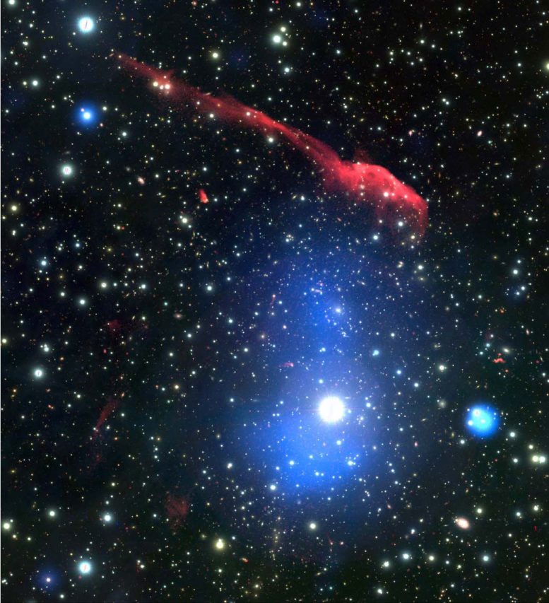  VLA Observations of the Cluster 1RXS J0603.3+4214
