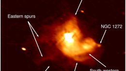 VLA Observations of the Mini-Halo in the Perseus Cluster