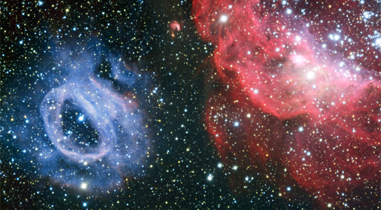 VLT Views NGC 2014 and NGC 2020