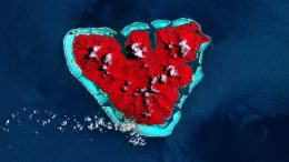 Valentine Island