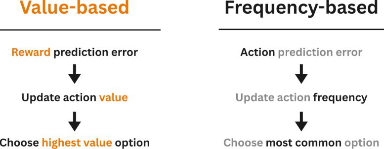 Value Based vs Frequency Based