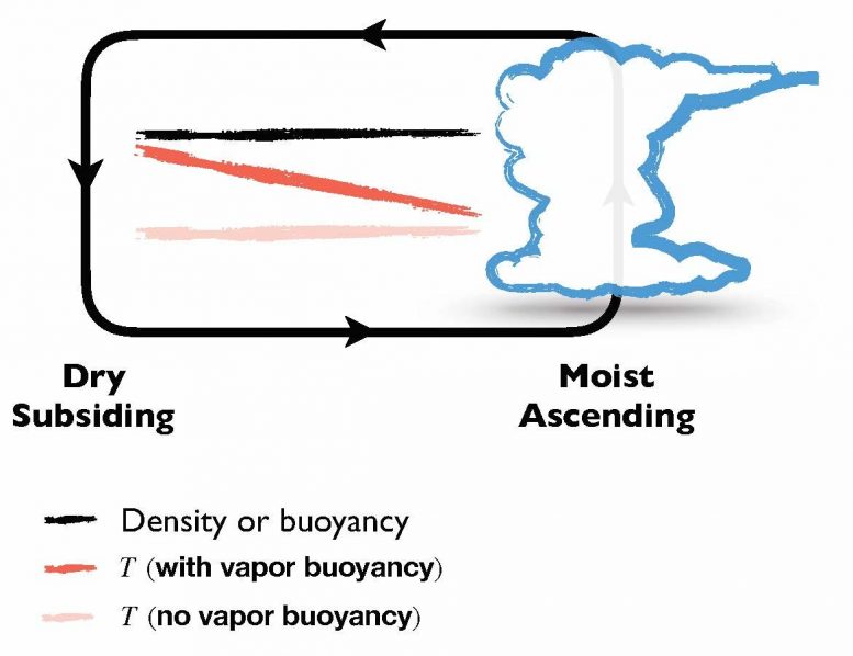 Vapor Buoyancy Graphic