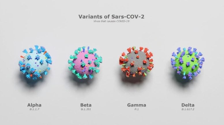 Variants of Sars-COV-2