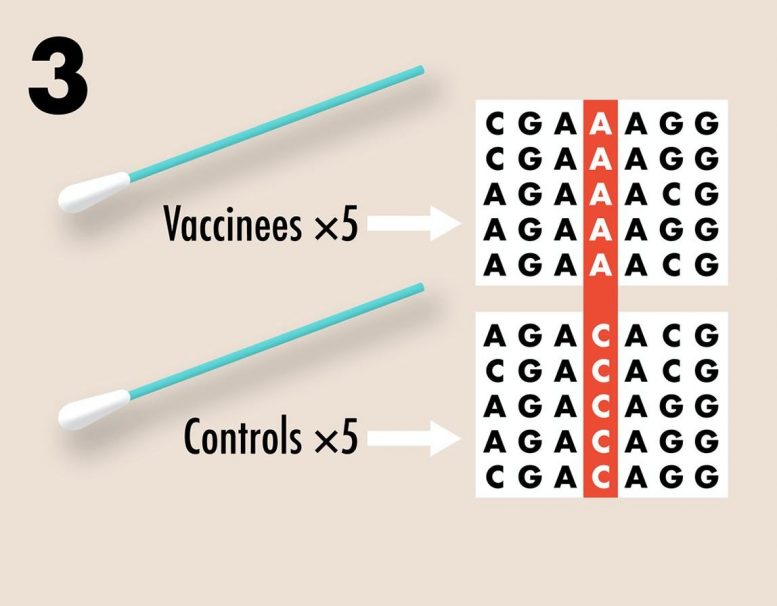 Variation for Vaccine Resistance