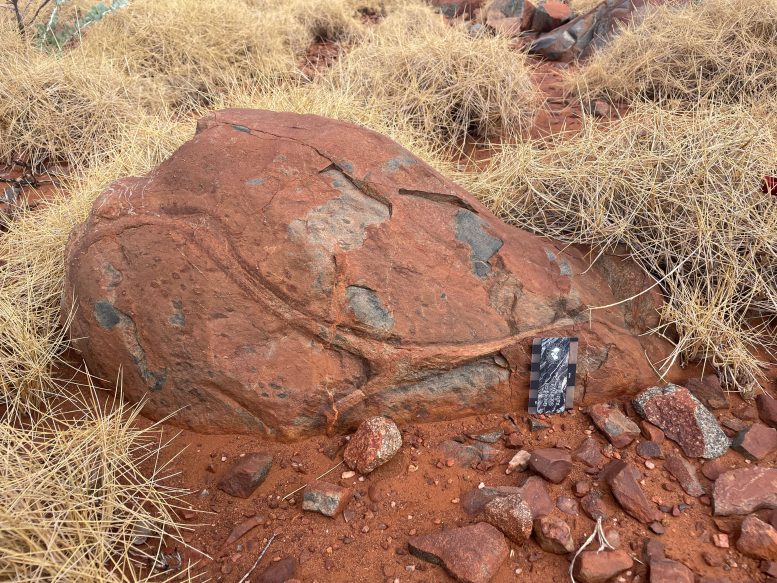 Variolitic Pillow Lavas in the Whundo Group