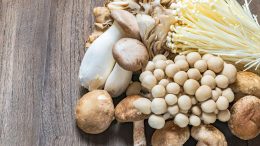 Various Mushrooms
