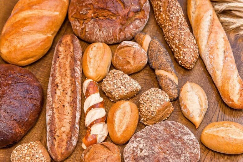 Various Types of Bread