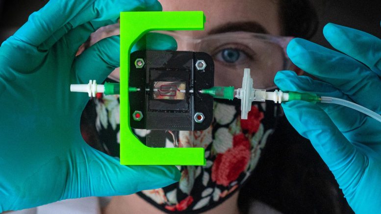 Timed Injections MicroCHIPS Wireless Drug Implant Releases Timed Dosed Injections