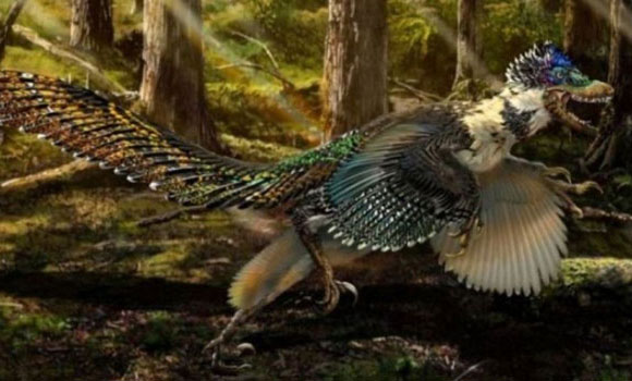 Velociraptors Were Most Likely Covered in Feathers