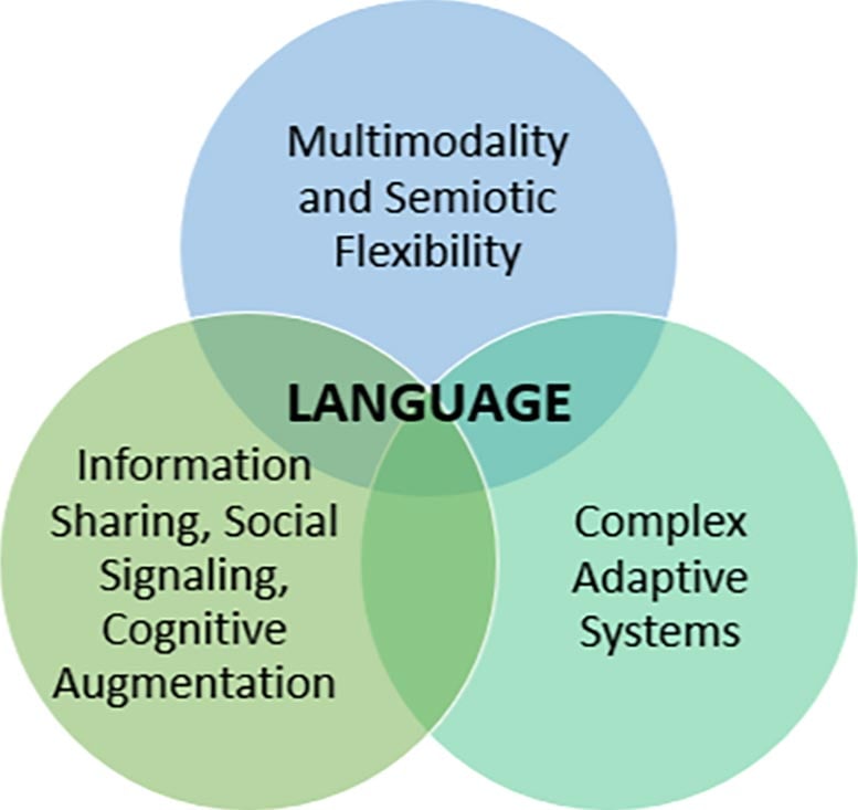 Venn Diagram of Language Components
