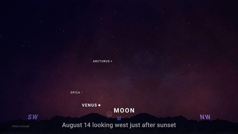 Venus August 2026 Skychart