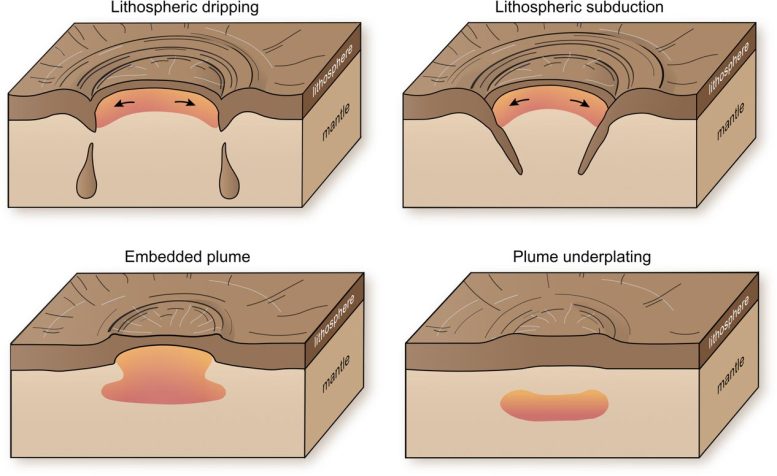 Venus Coronae Tectonic Activity