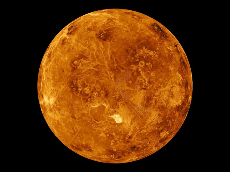 Venus Global View Northern Hemisphere