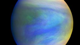 Venus a Possible Niche for Extraterrestrial Microbial Life